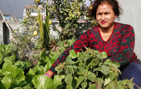 फाइल तस्बिर।